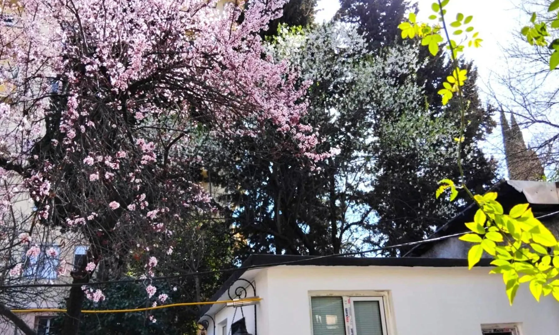 Cozy Studio Apartment In Green Space Tbilisi